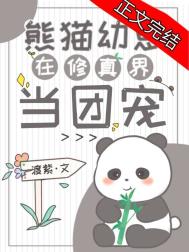 熊猫幼崽在修真界当团宠笔趣阁封面